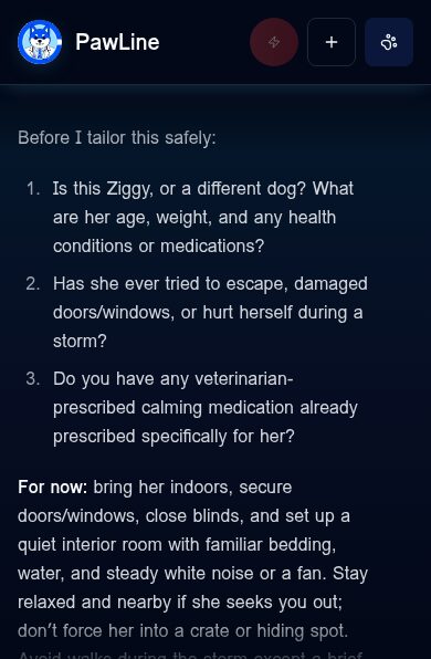 PawLine app chat for a demo pet, a dog named Ziggy, answering a question about thunderstorm fear